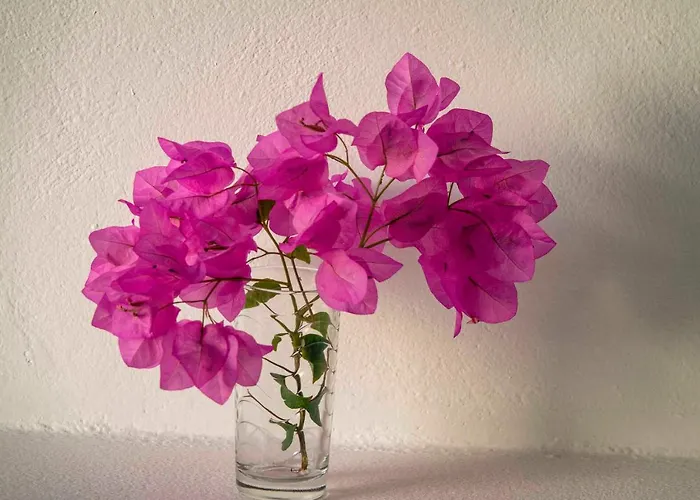 מלון Meltemi Folégandros