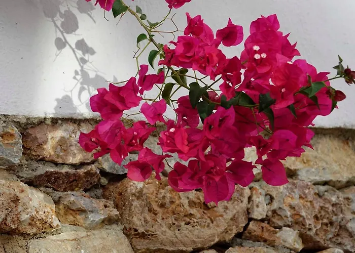 Meltemi Folégandros