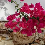 Meltemi Folégandros