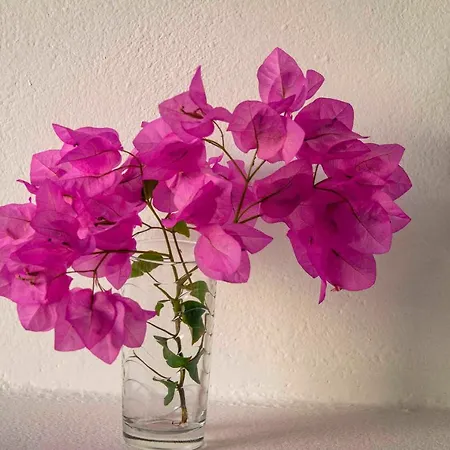 מלון Meltemi Folégandros